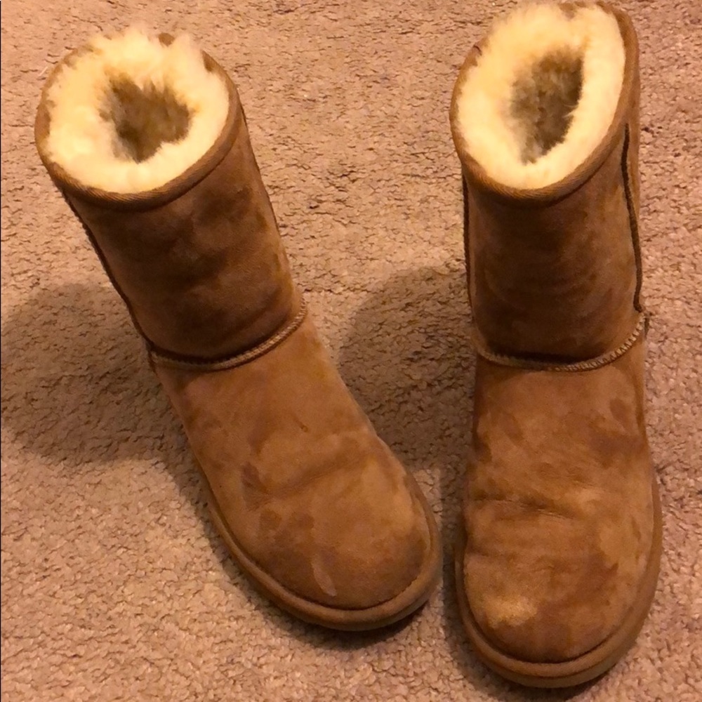 Uggs classic short chestnut size 6
